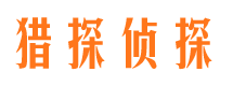 阳山市场调查